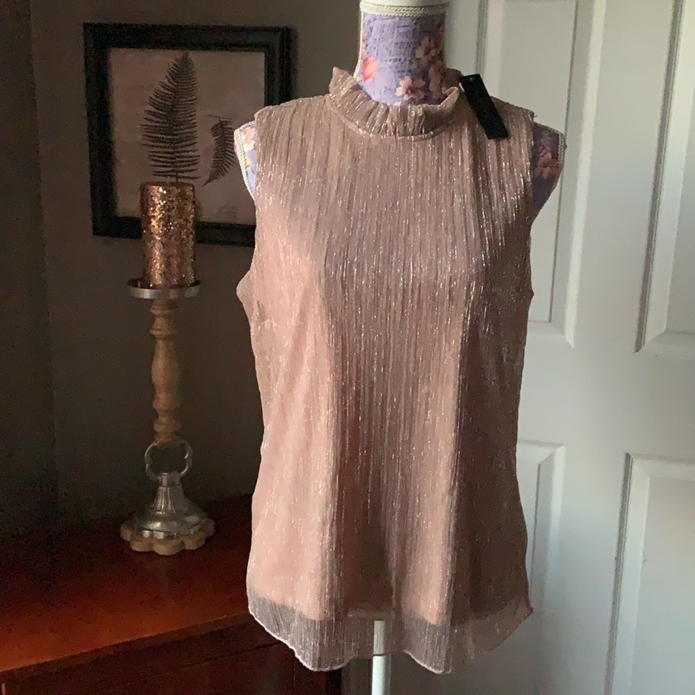 A diva Nude Sparkle Sleeveless Ruffle Neck Top